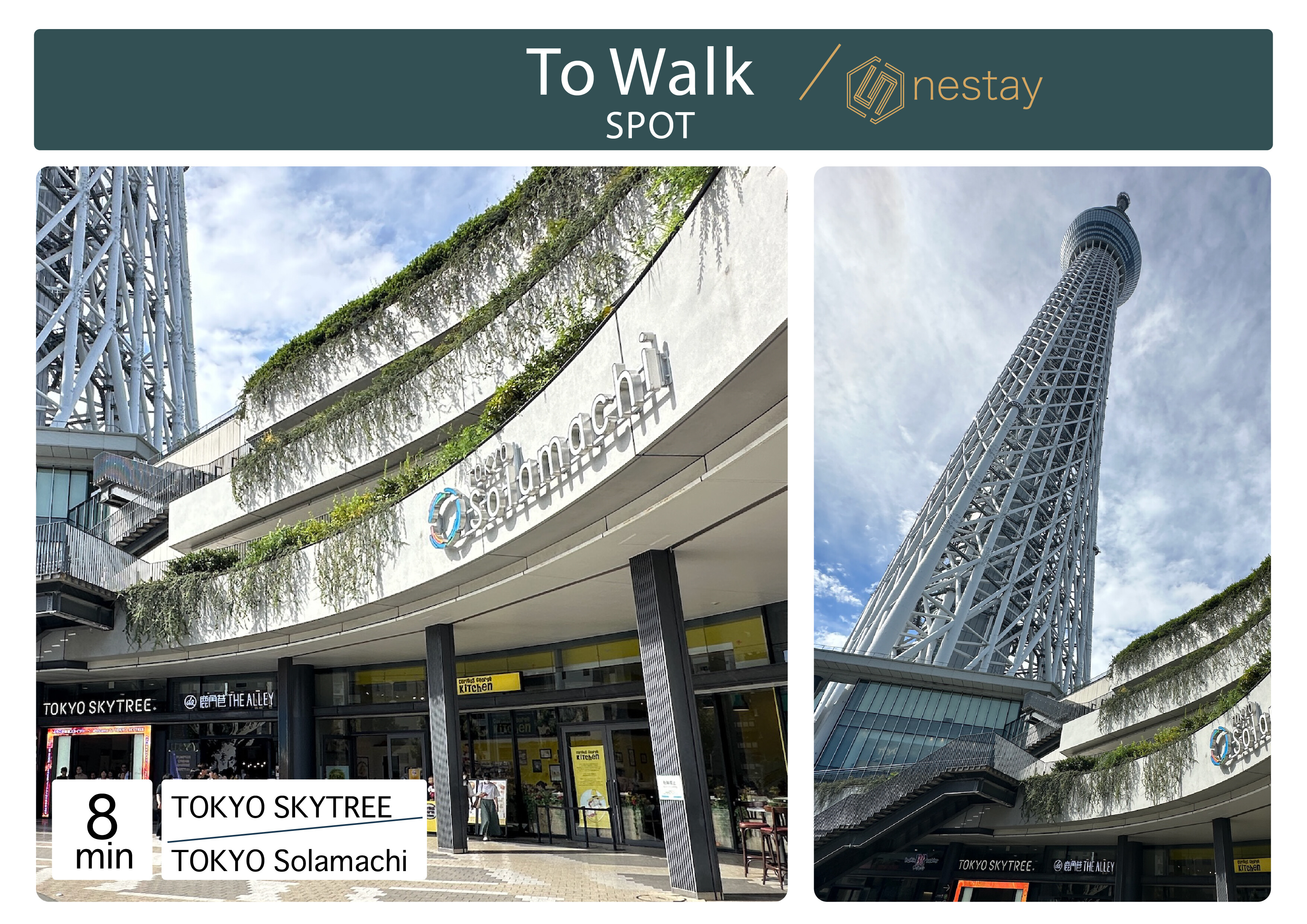 nestay inn tokyo skytree 5C-26