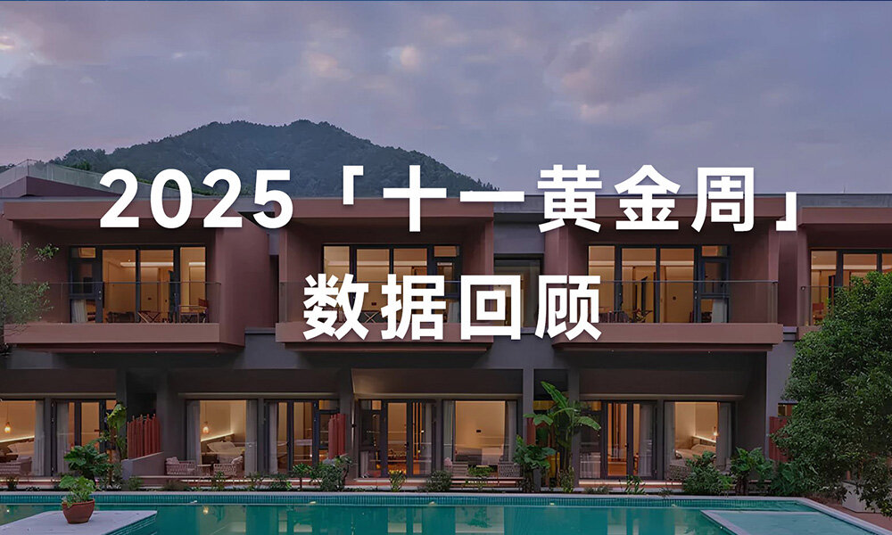2025年十一数据报告