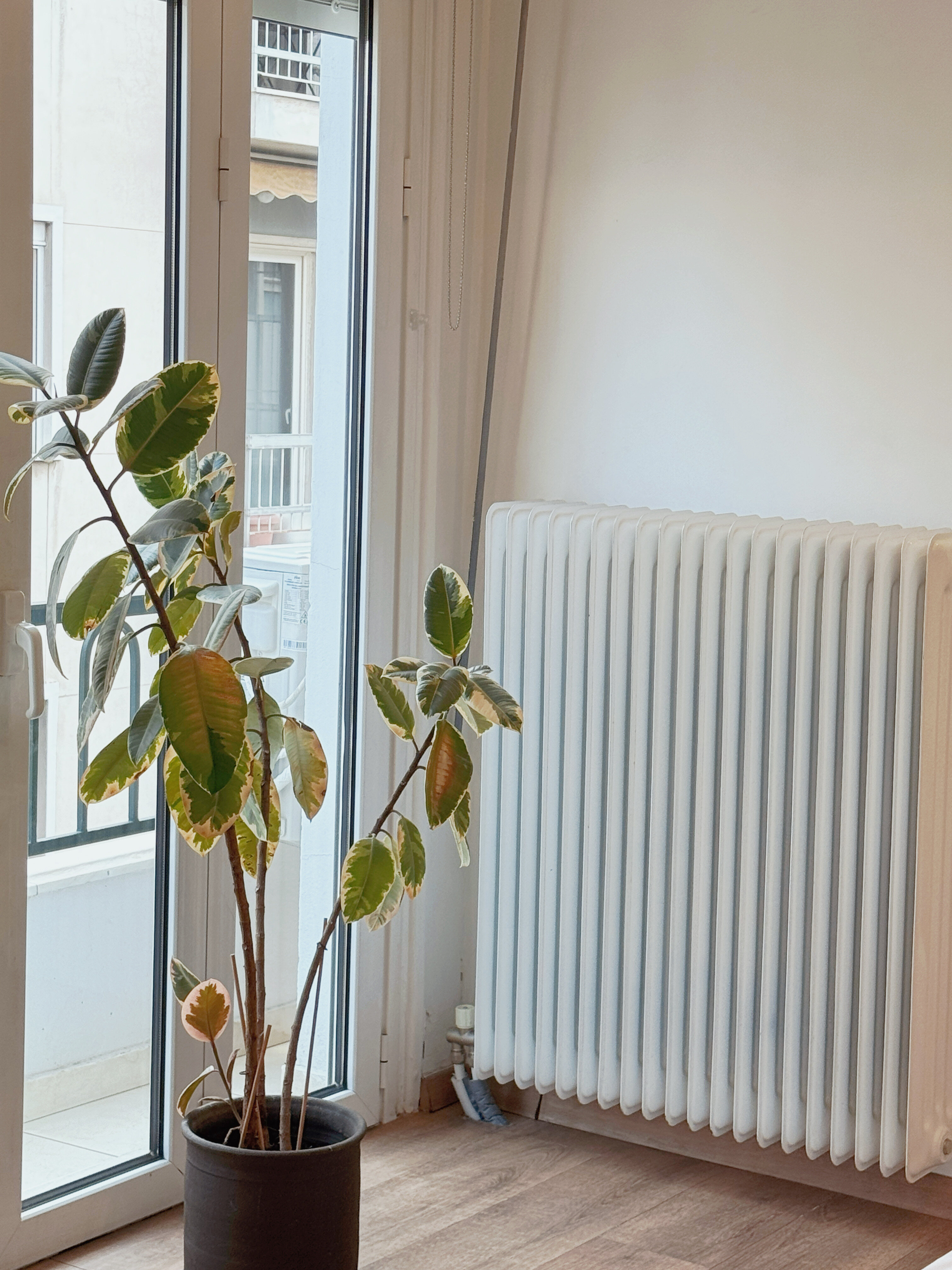 Deluxe Double Room or Two Single Beds with Balcony 20