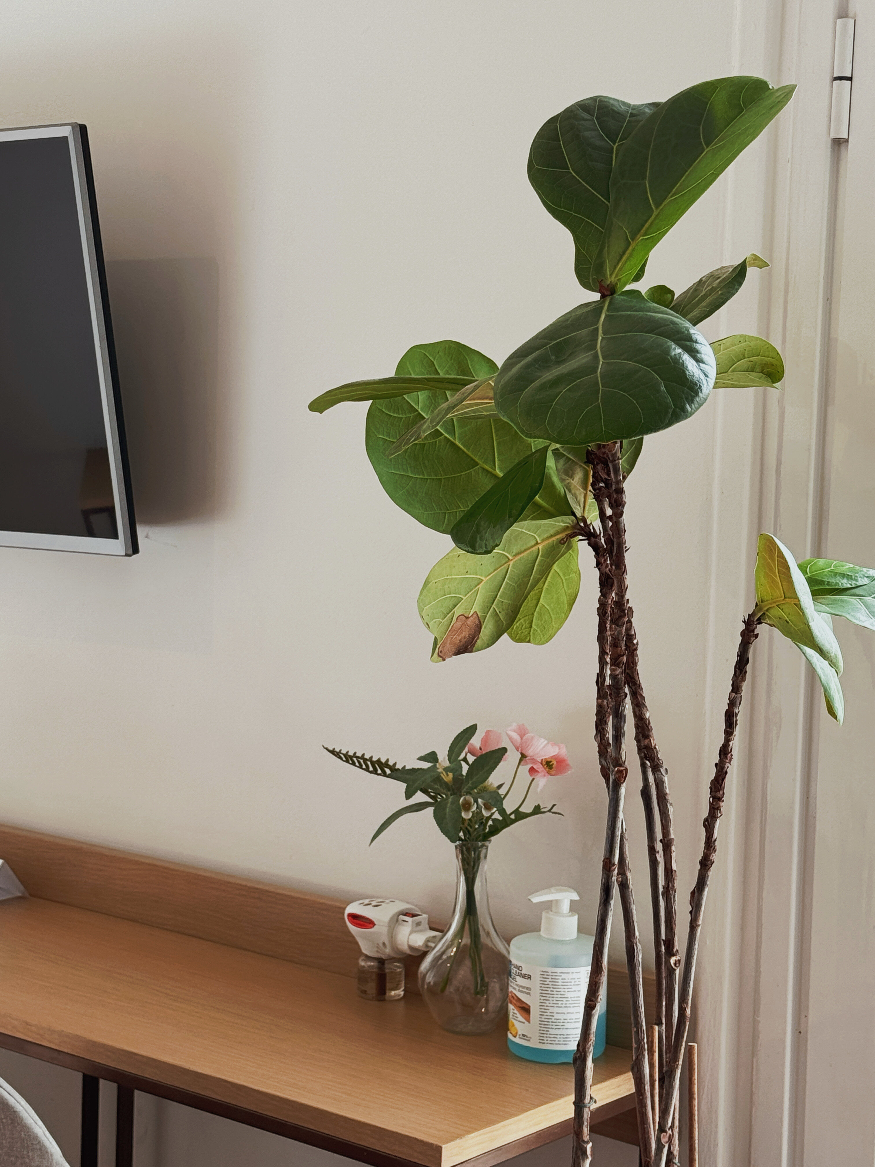 Deluxe Double Room or Two Single Beds with Balcony 9