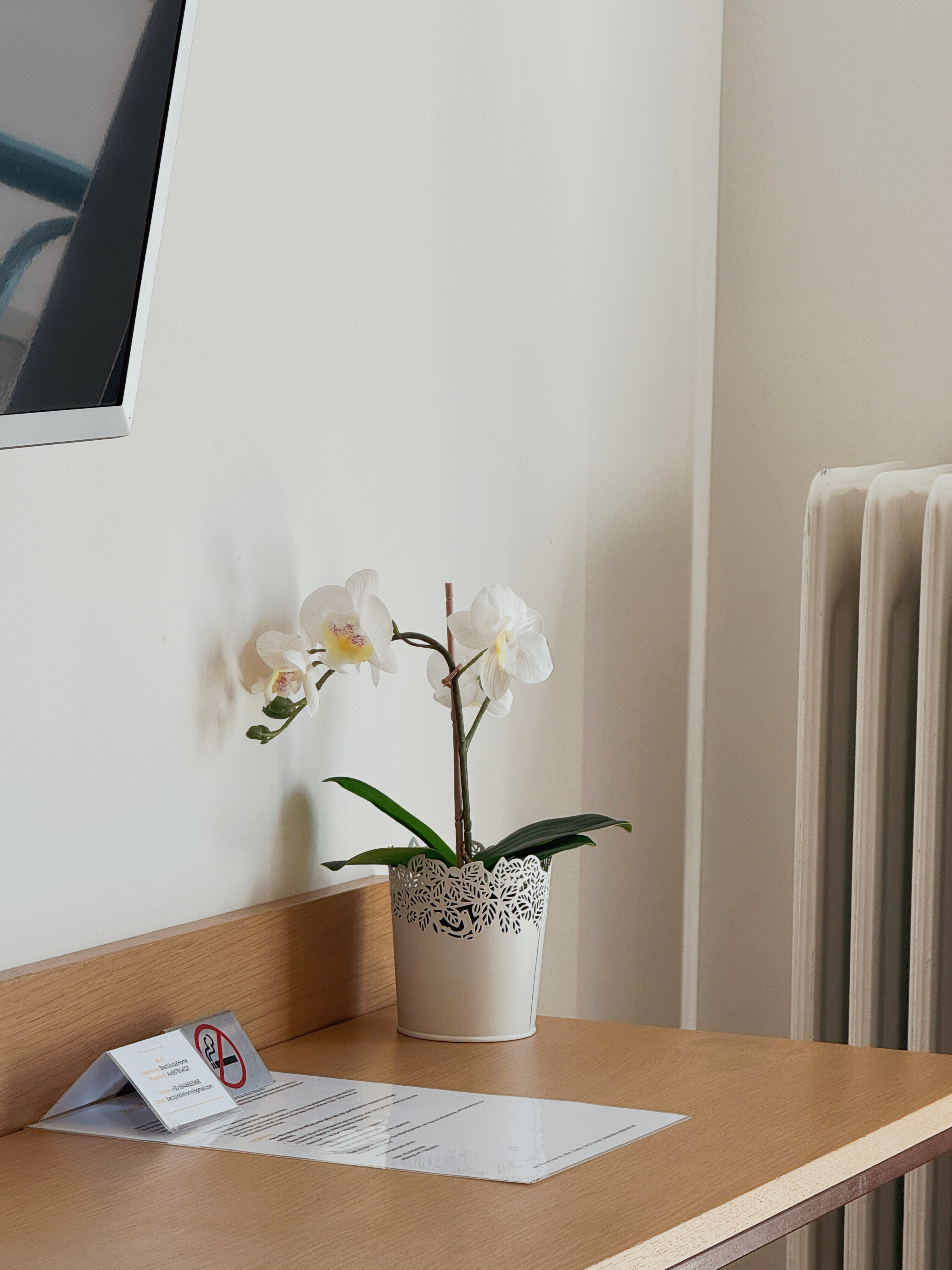 Deluxe Double Room or Two Single Beds with Balcony 20