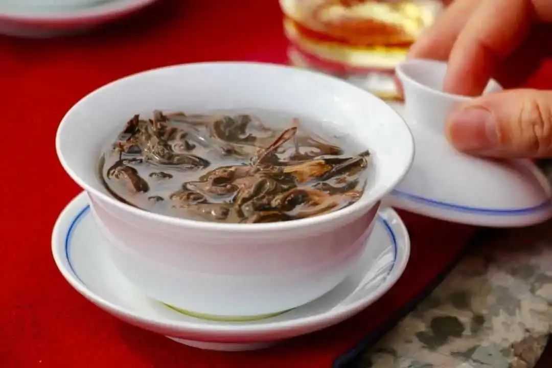 潜派旅行