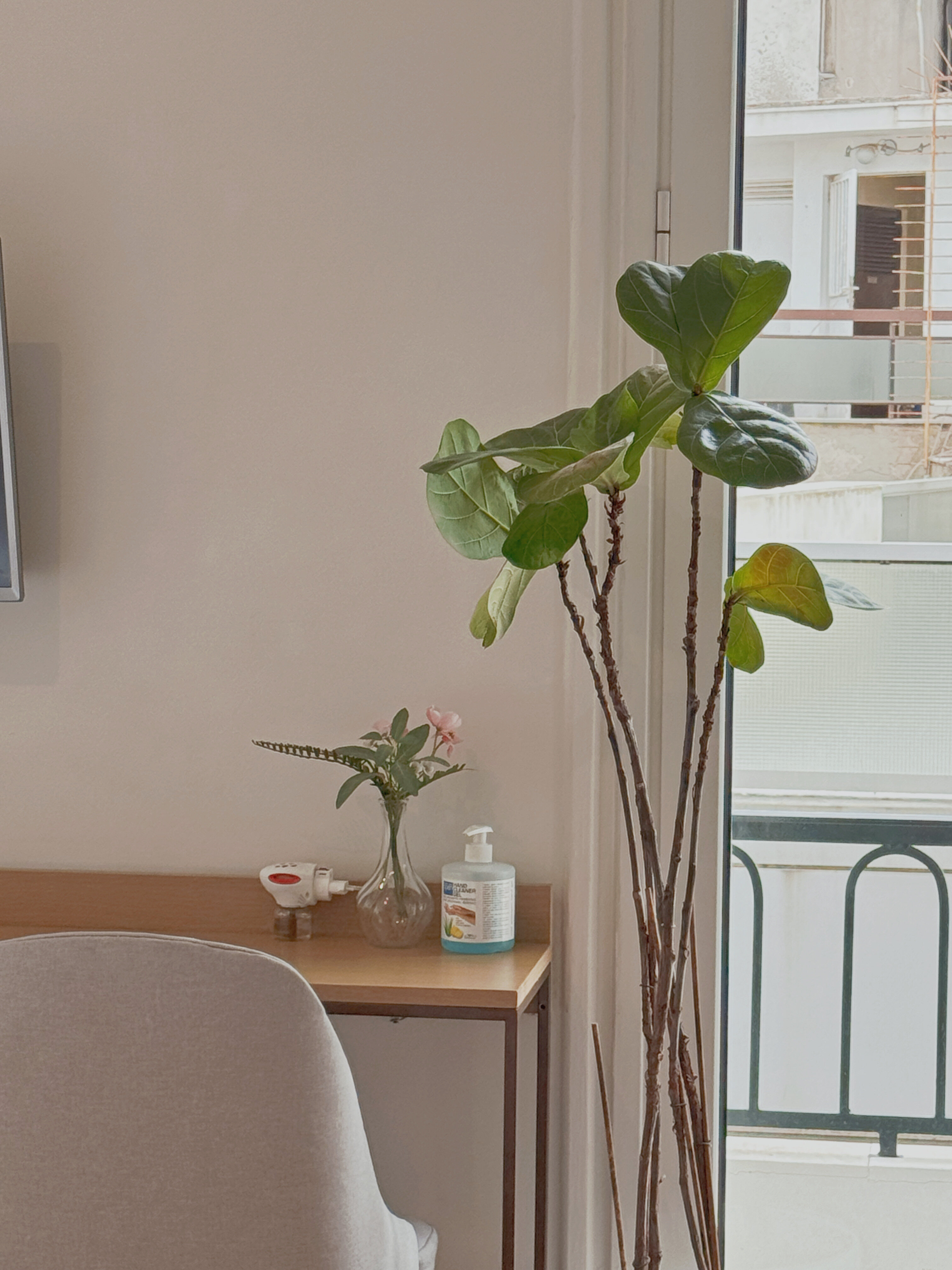 Deluxe Double Room or Two Single Beds with Balcony 24