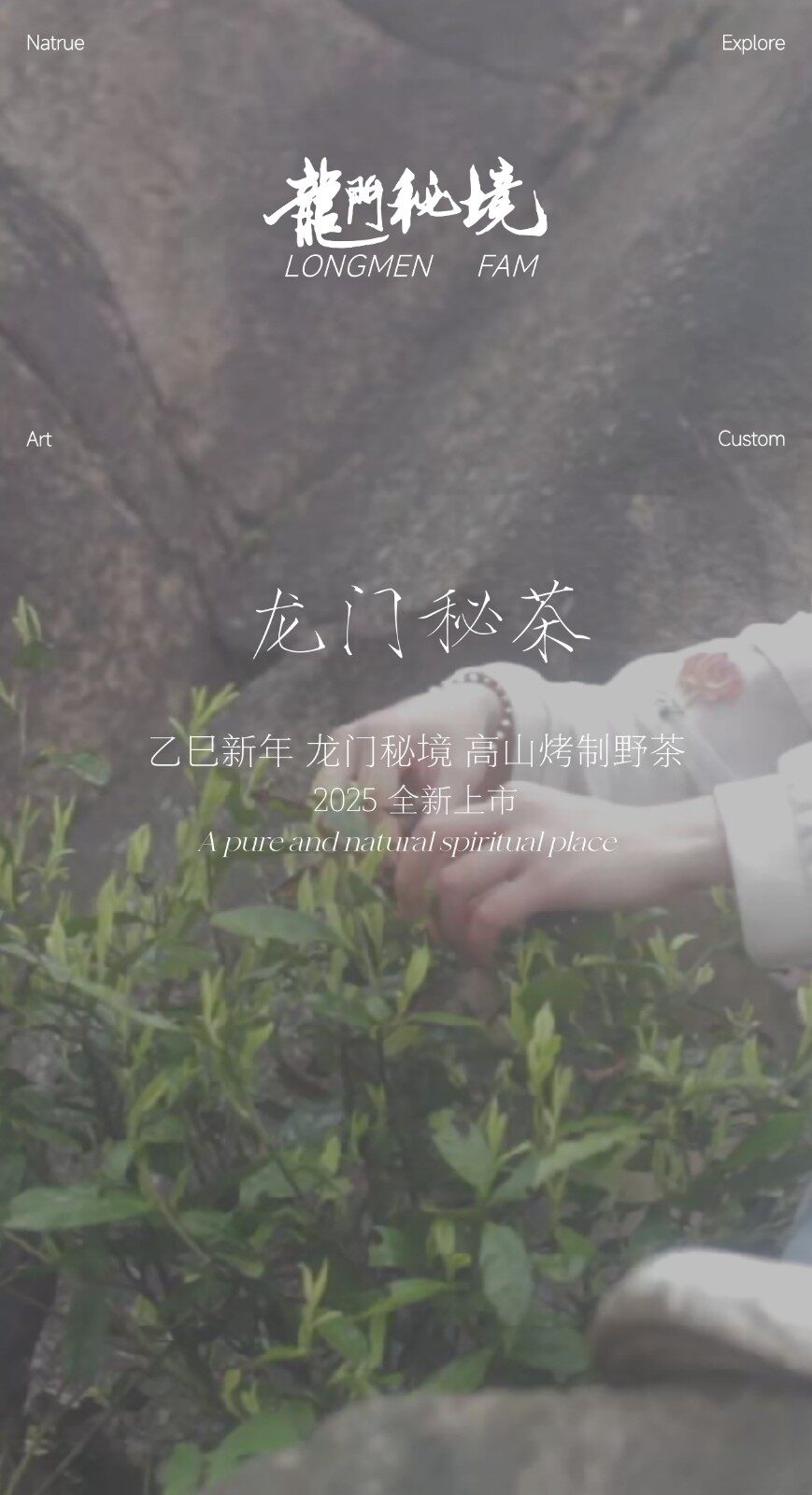 图片[1]-龙门秘茶-龙门秘境高山烤制野茶-龙门秘境