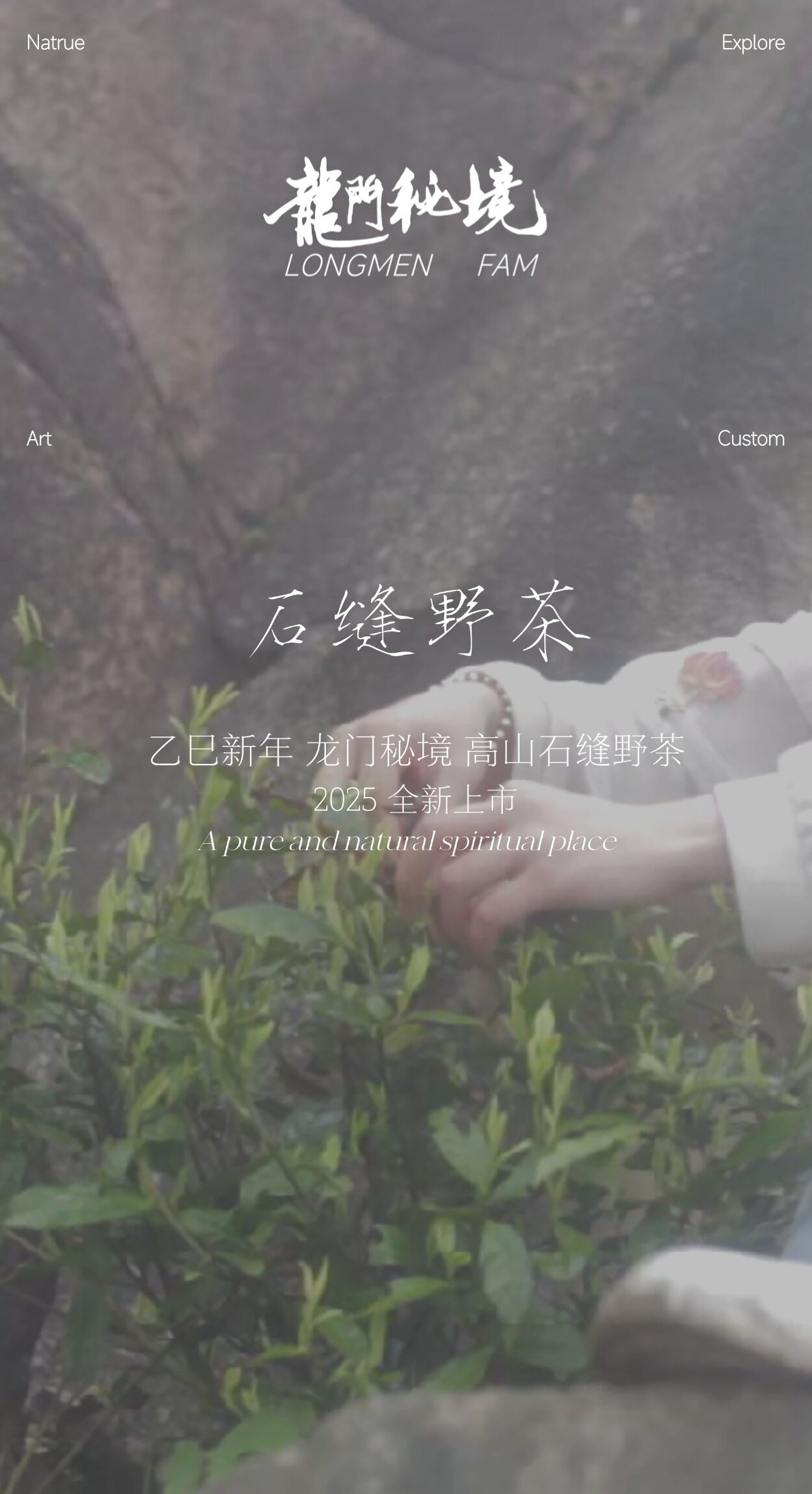图片[1]-石缝野茶-龙门秘境高山野茶三品种组合礼盒-龙门秘境