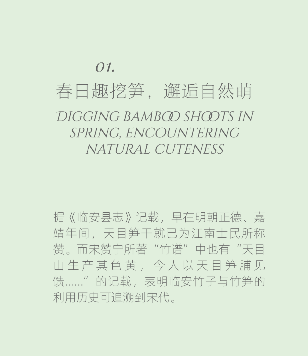 图片[3]-春季挖笋亲子活动 1大1 小-龙门秘境