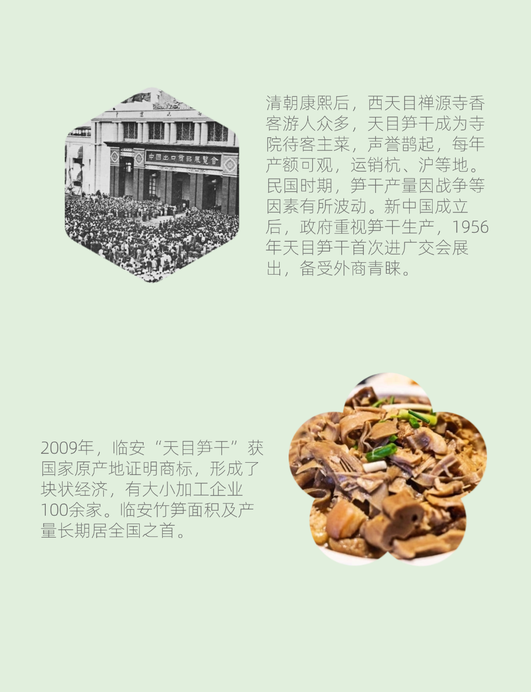 图片[4]-春季挖笋亲子活动 1大1 小-龙门秘境