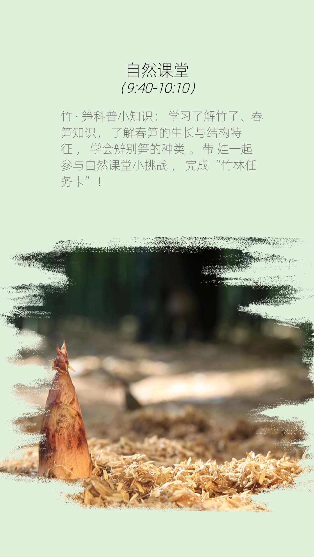 图片[8]-春季挖笋亲子活动 1大1 小-龙门秘境
