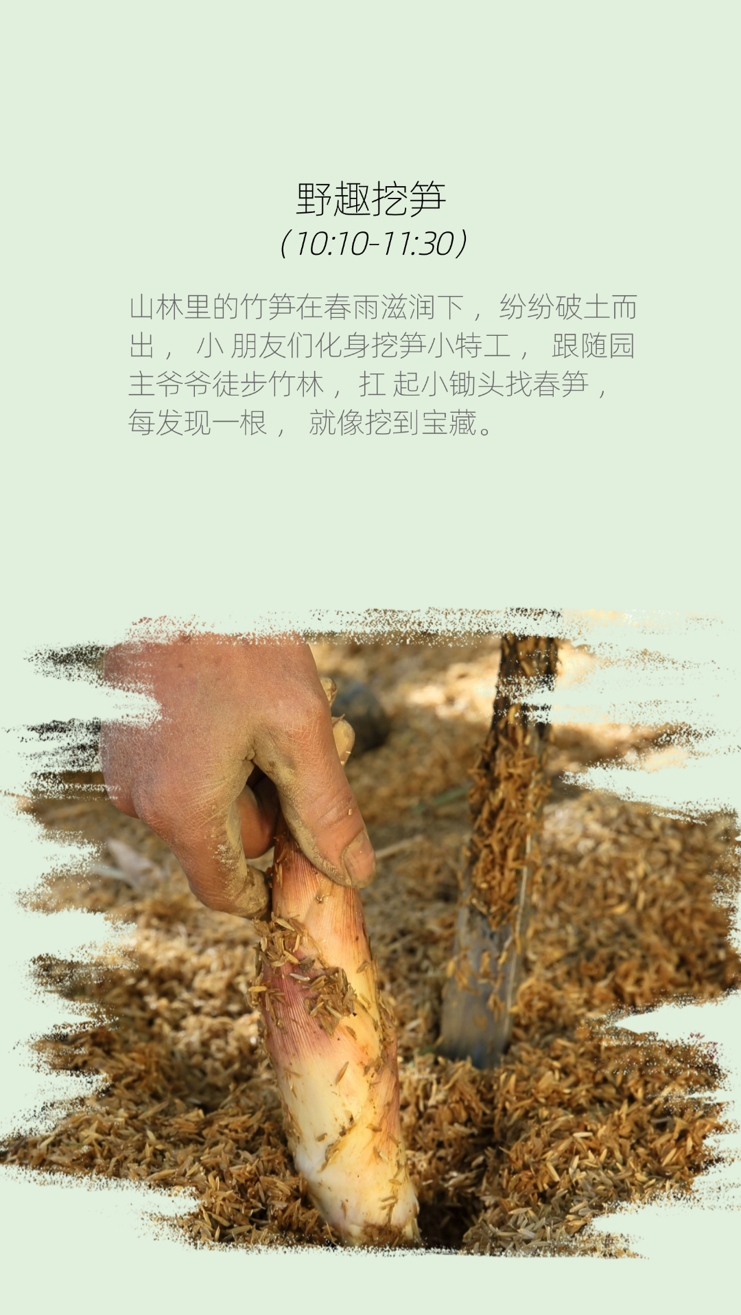 图片[10]-春季挖笋亲子活动 1大1 小-龙门秘境