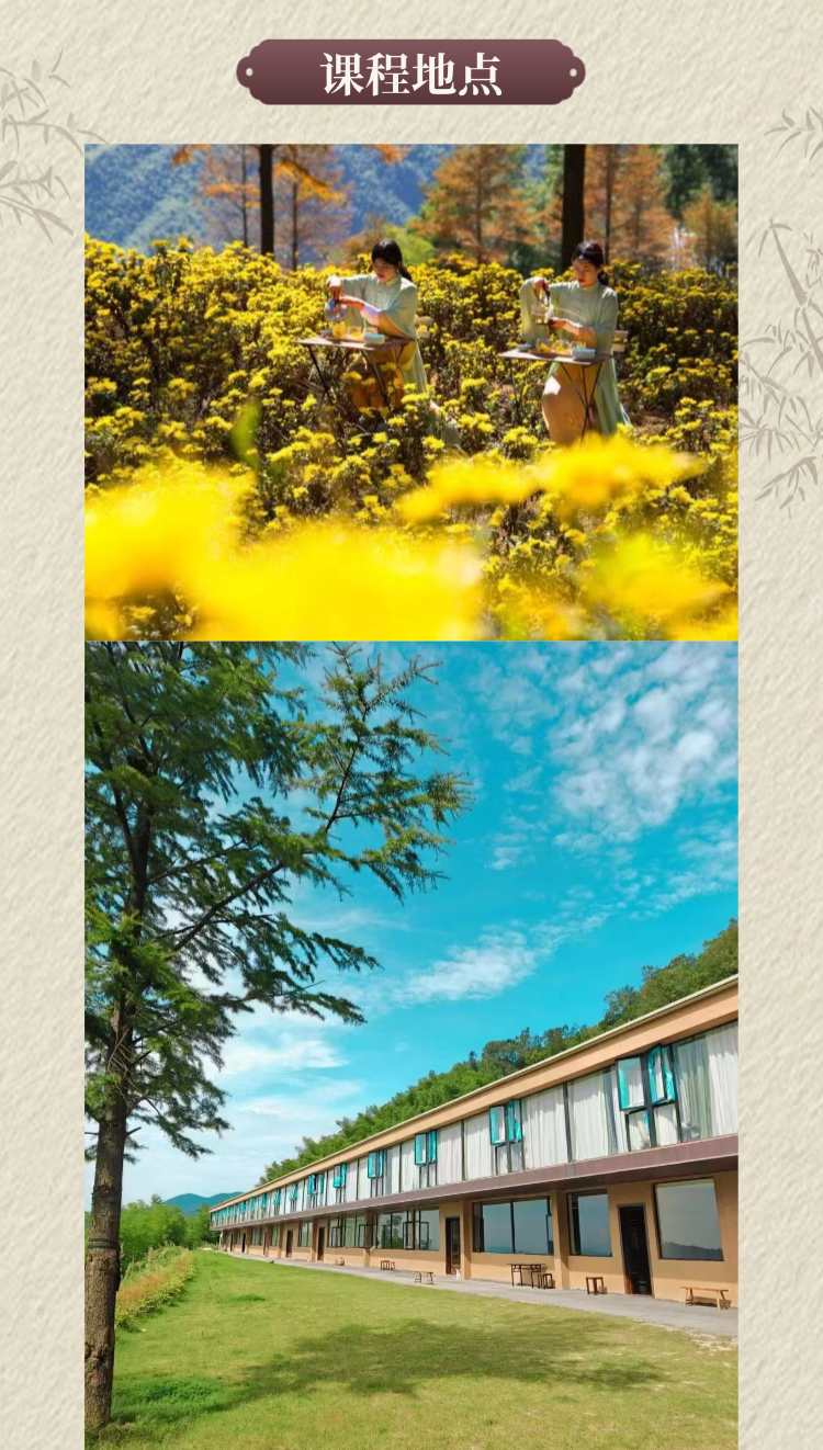 稿定设计-8 稿定设计-8.png