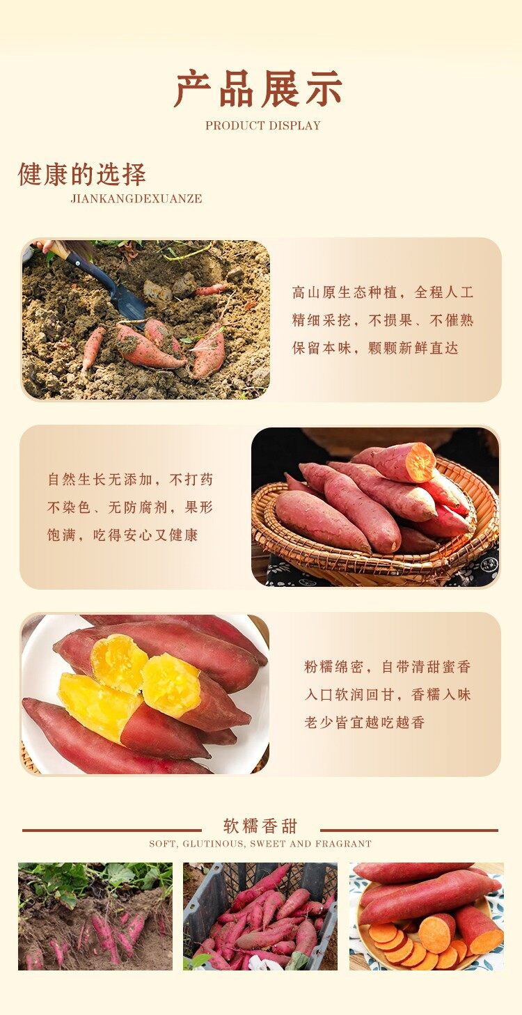 图片[3]-【临安小香薯】五斤装-龙门秘境