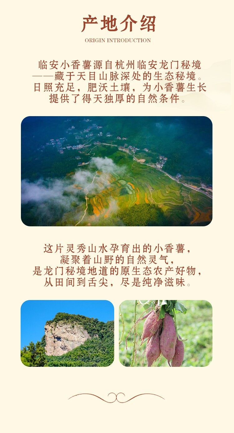 图片[5]-【临安小香薯】五斤装-龙门秘境