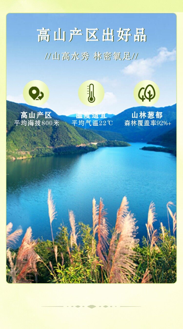 图片[6]-【杜公豆腐干】250g盒装-龙门秘境