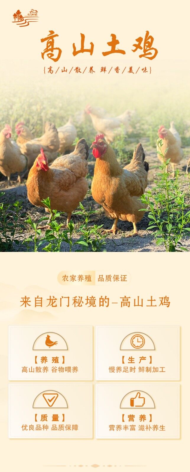 图片[2]-【高山土鸡】整只1500g-龙门秘境