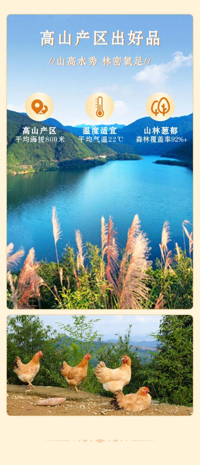 图片[5]-【高山土鸡】整只1500g-龙门秘境