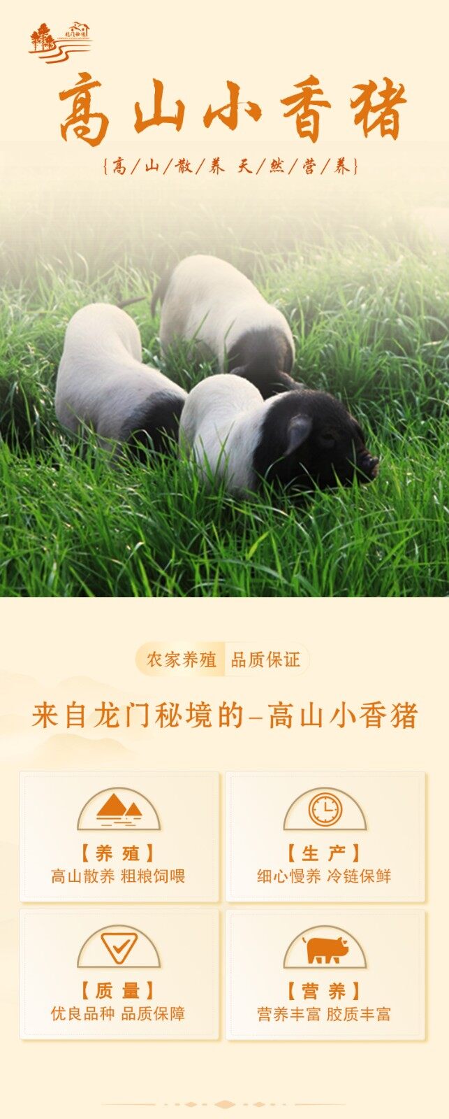 图片[1]-【高山小香猪】无抗香猪肉500g-龙门秘境