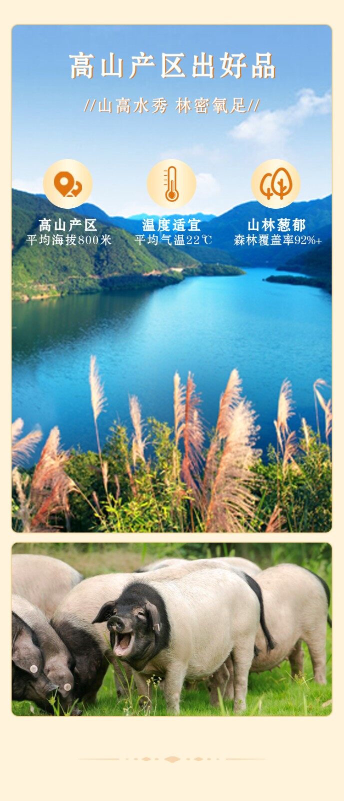 图片[5]-【高山小香猪】无抗香猪肉500g-龙门秘境
